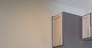 Paces River Apartments | Rock Hill, SC