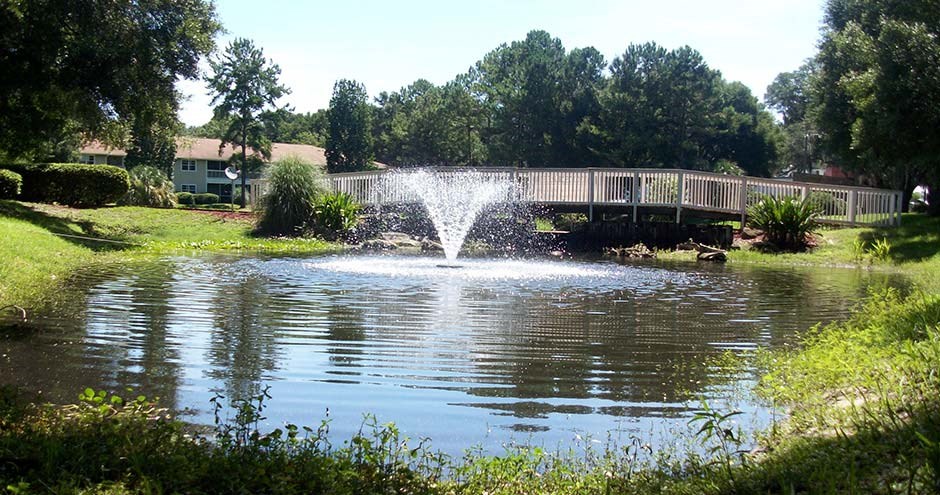 a fountain in the middle of a pond