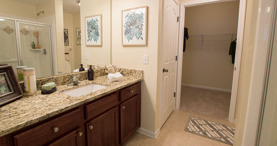 Park At Johns Creek 55 Active Adult