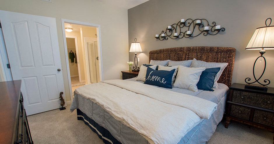 Park At Johns Creek 55 Active Adult