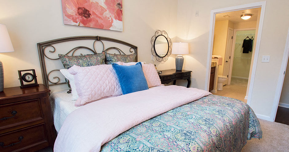 Park At Johns Creek 55 Active Adult