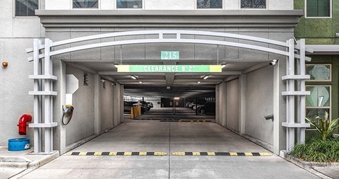 Ivy Residences at Health Village | Orlando, FL