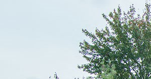Reserve South | Richmond, VA - Photo Gallery