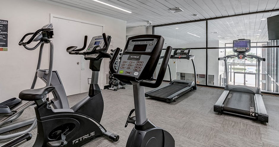 the gym is equipped with state of the art equipment including exercise bikes and ellipticals
