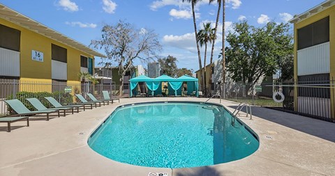 A swimming pool surrounded by sun loungers and trees.