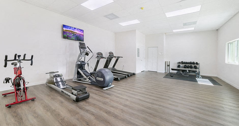the gym is equipped with cardio equipment and weights