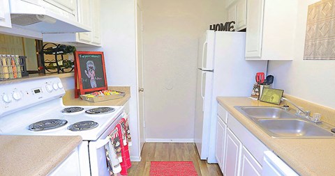 a kitchen with a stove and a sink and a refrigerator