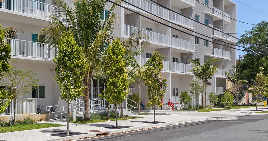 a row of palm trees in front of an apartment building