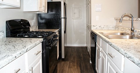 a kitchen with a stove and a sink and a refrigerator
