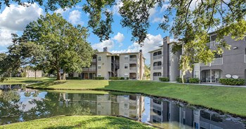 4006 Sabal Park Dr 1-2 Beds Apartment for Rent - Photo Gallery 3