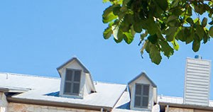 The Woodland, Boerne, Texas The Woodland, Boerne, Texas - Photo Gallery 2
