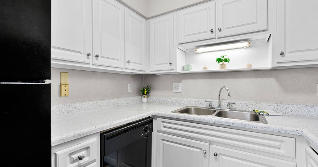 Fountain Square | Lakeland, FL