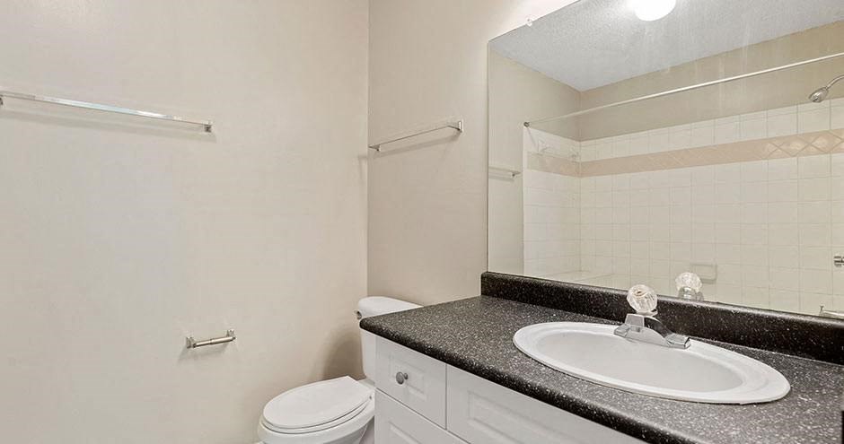 a bathroom with a sink and a toilet and a mirror