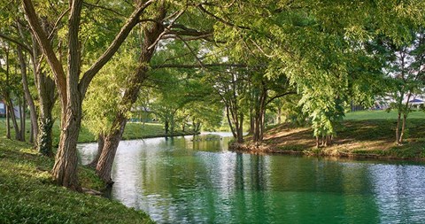 Valley Farms | Louisville, KY