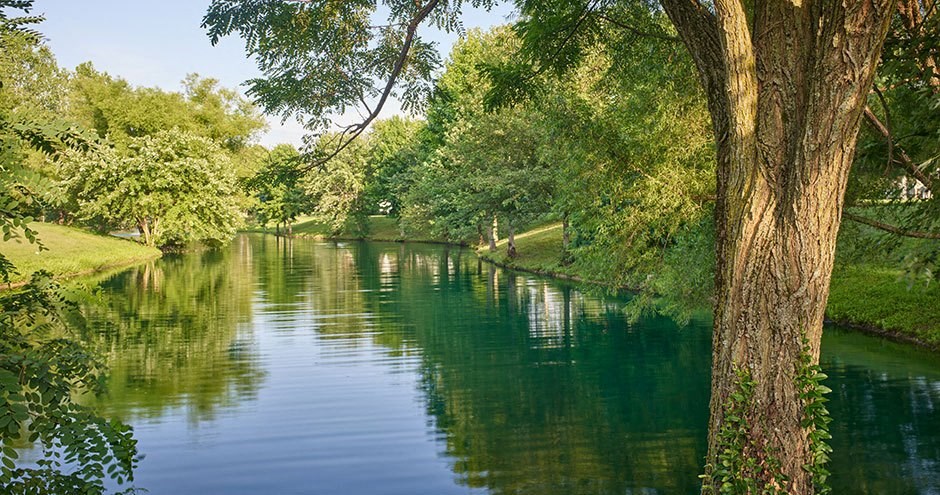 Valley Farms | Louisville, KY