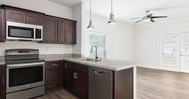 10200 Renaissance Valley Way 2 Beds Apartment for Rent - Photo Gallery 1