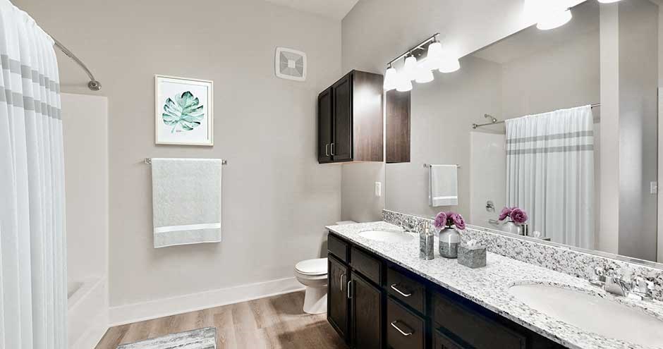 a bathroom with a sink and a toilet and a mirror