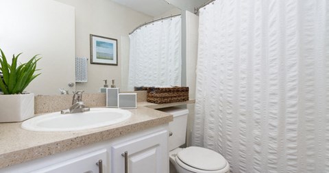 Victoria at Orange Park | Orange Park, FL