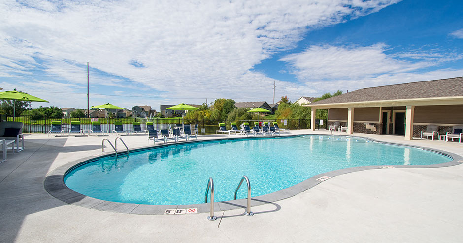 Brand New Swimming Pool!