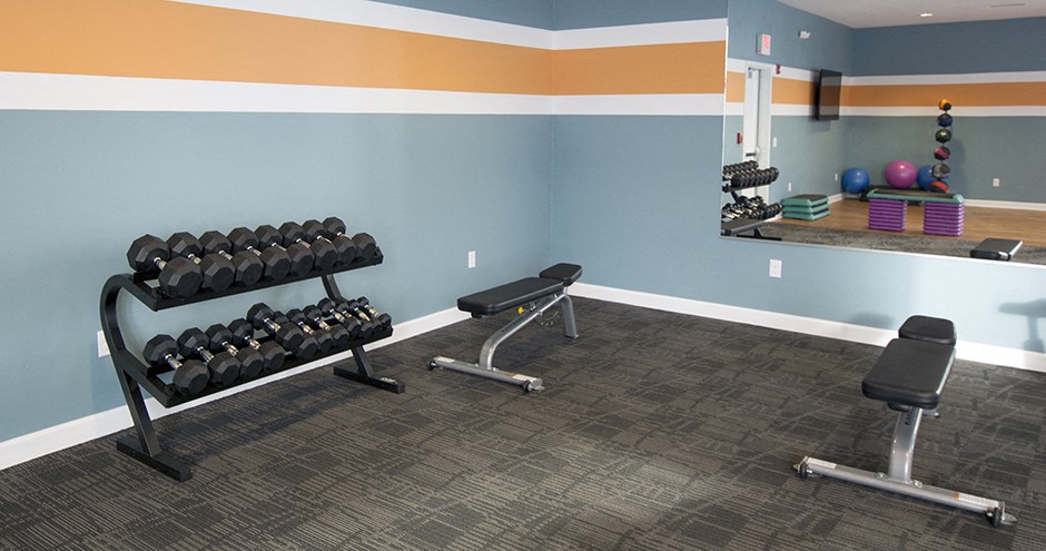 a gym with dumbbells and weights on a rack