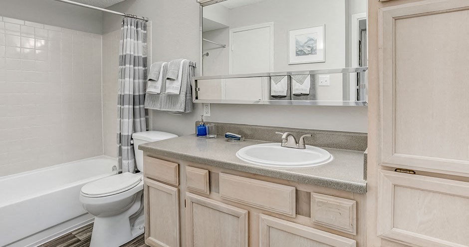 a bathroom with a sink and a toilet and a shower