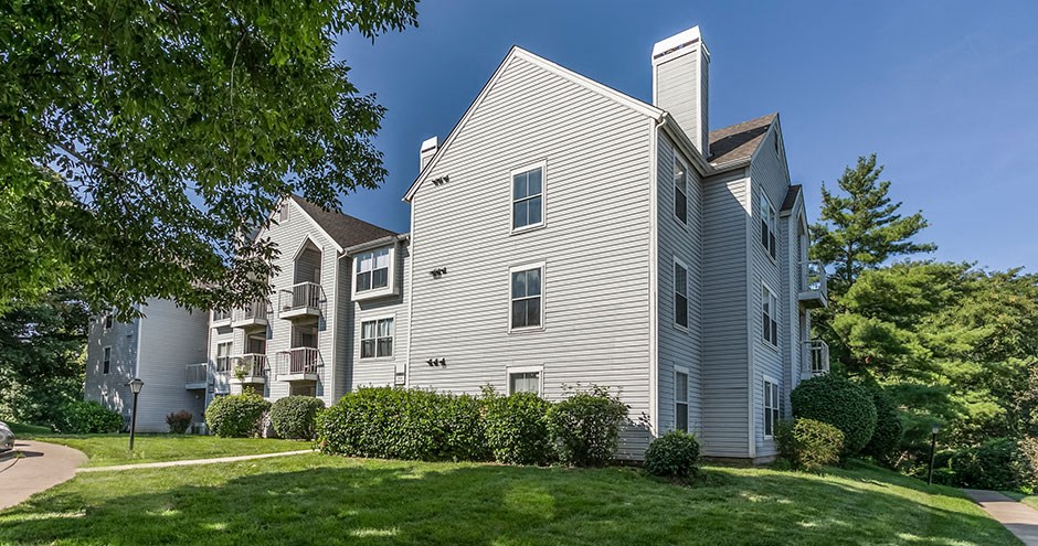 our apartments offer a spacious yard with green grass and trees