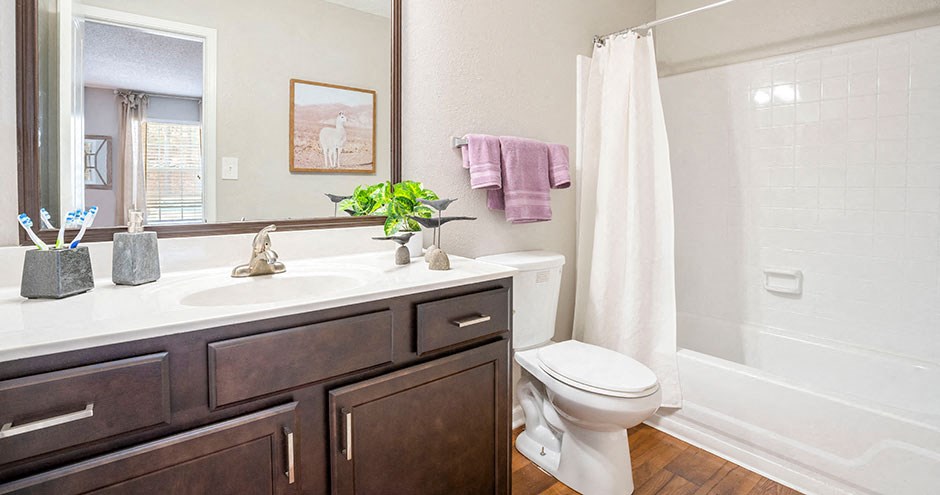 Willeo Creek | Roswell, GA