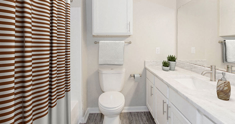 Willow Lake Apartments  Katy, Texas Bath