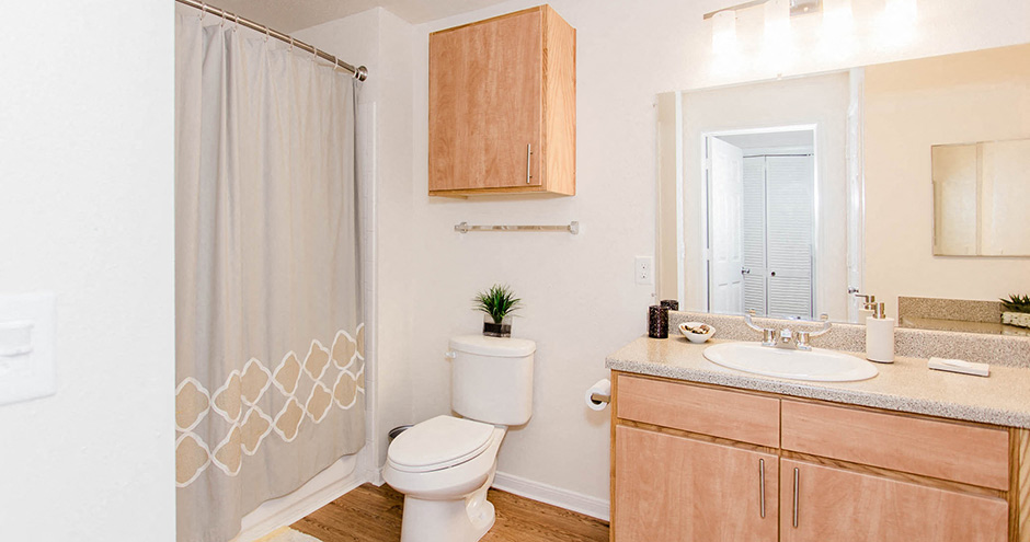 Willow Lake Apartments Bath, Katy, Texas