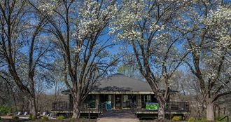 a gazebo in the middle of some trees