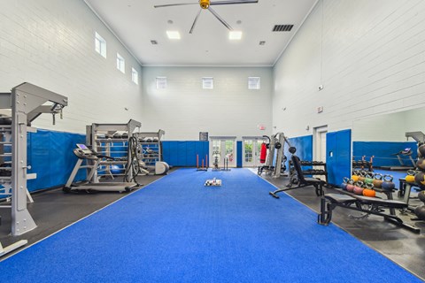 A gym with blue carpeting and various exercise equipment.