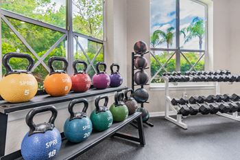 Fitness Center With Updated Equipment at Portofino Apartments, Tampa, 33647-3412