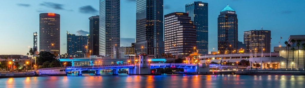Skyline View at Portofino Apartments, Tampa, Florida