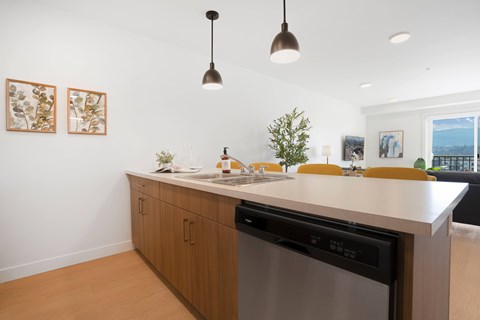 A modern kitchen with a dishwasher and a countertop.