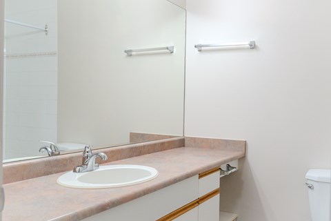 A bathroom with a sink, mirror, and toilet.