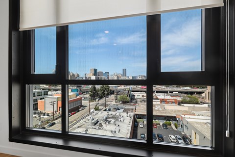 Expansive Window Views