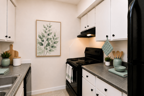A kitchen with black appliances and white cabinets.