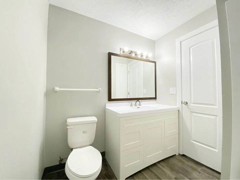 A white toilet sits next to a sink in a small bathroom.
