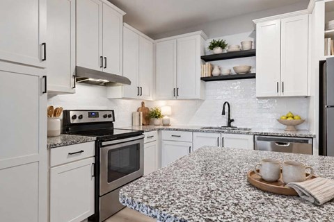 Apartments with Gwinnett County Public Schools - Artisan Station Apartments Granite countertops