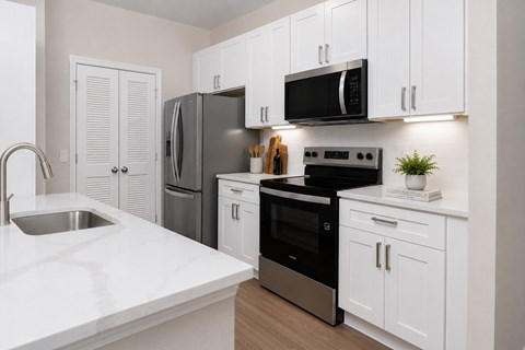 Renovated Apartment Homes for Rent in Orlando - Reserve at Beachline - Kitchen