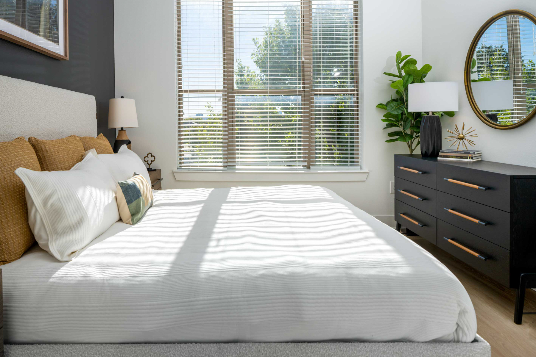 Renovated Apartments in Dallas, TX - Strata - natural sunlight