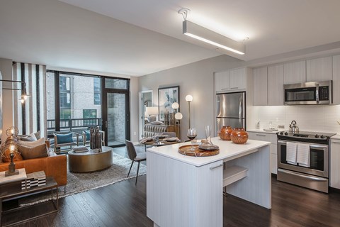 Signature at Reston Town Center Apartments - Reston, VA - Classic Kitchen