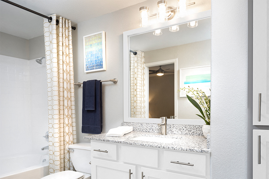 Reserve at Beachline - Orlando, FL - bathroom