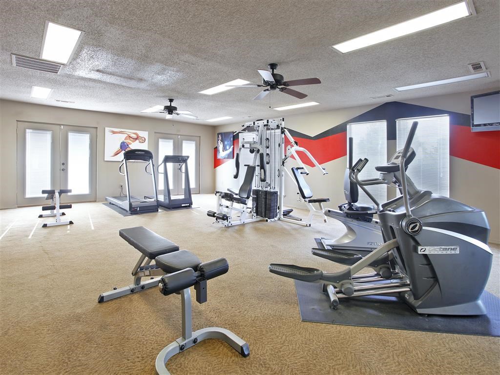 A gym with a variety of equipment including treadmills, weights, and a bench press.