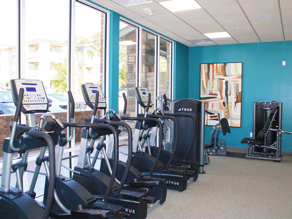 a row of cardio equipment in a gym