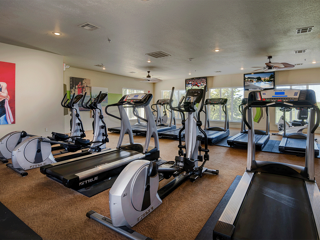 a gym with treadmills and other exercise equipment