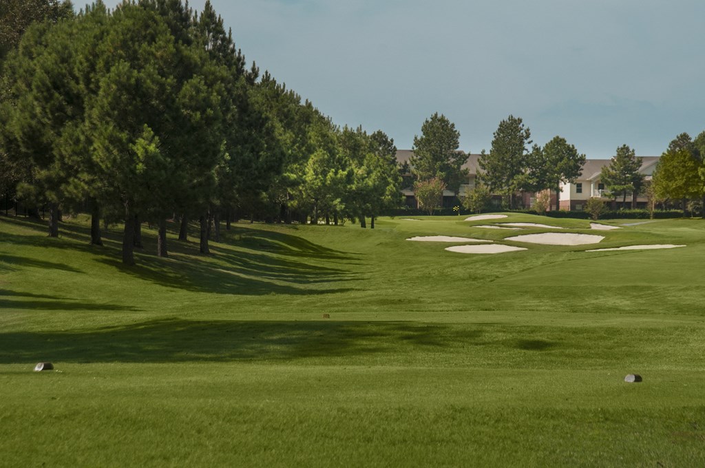 a view of a golf course with trees