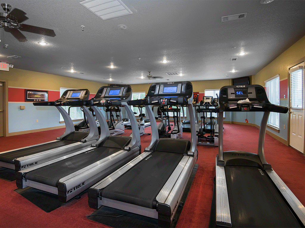 a gym with rows of treadmills