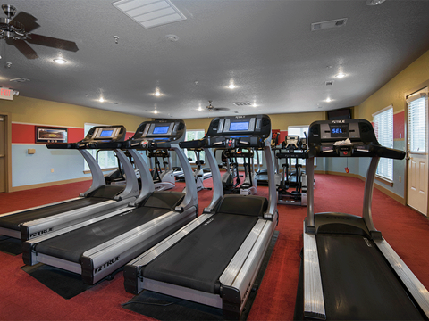 a gym with rows of treadmills