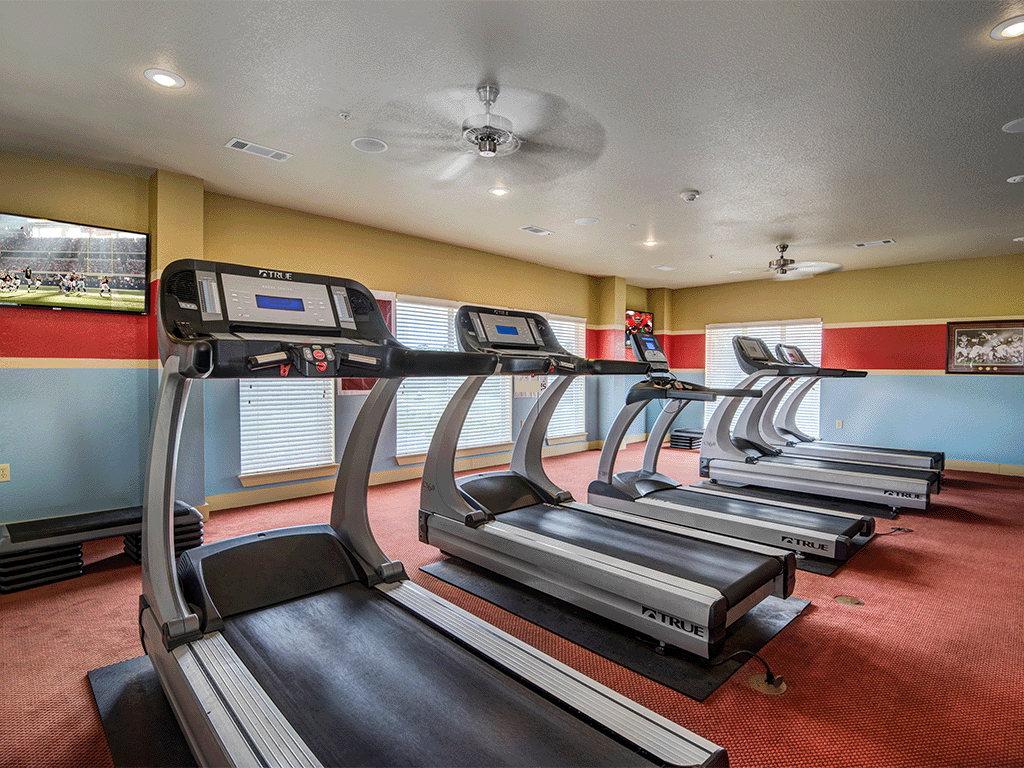 a gym with rows of treadmills on the floor